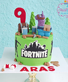 Fortnite Aras