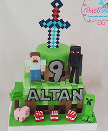 Mine Craft Altan