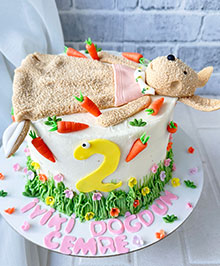 Tavşan Uyku Oyuncağı Cemre